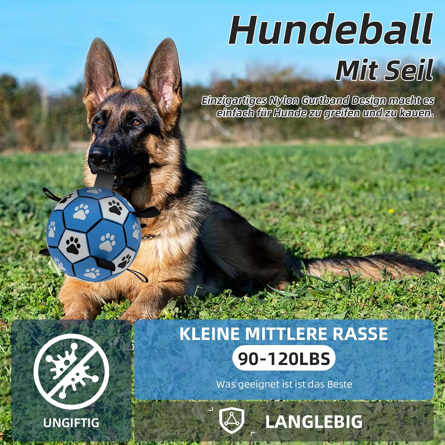 Thumbnail 1 de HETOO Hundeball 9 Zoll Blau Grau
