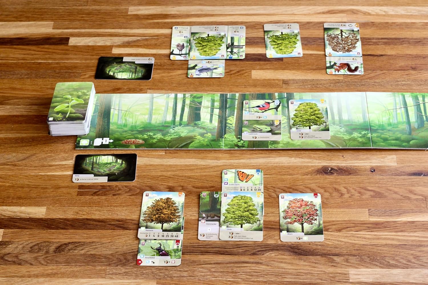 Detalle 2 de Lookout Spiele Forest Shuffle family card game (Ages 10+, 2–5 players) – 60 minutes