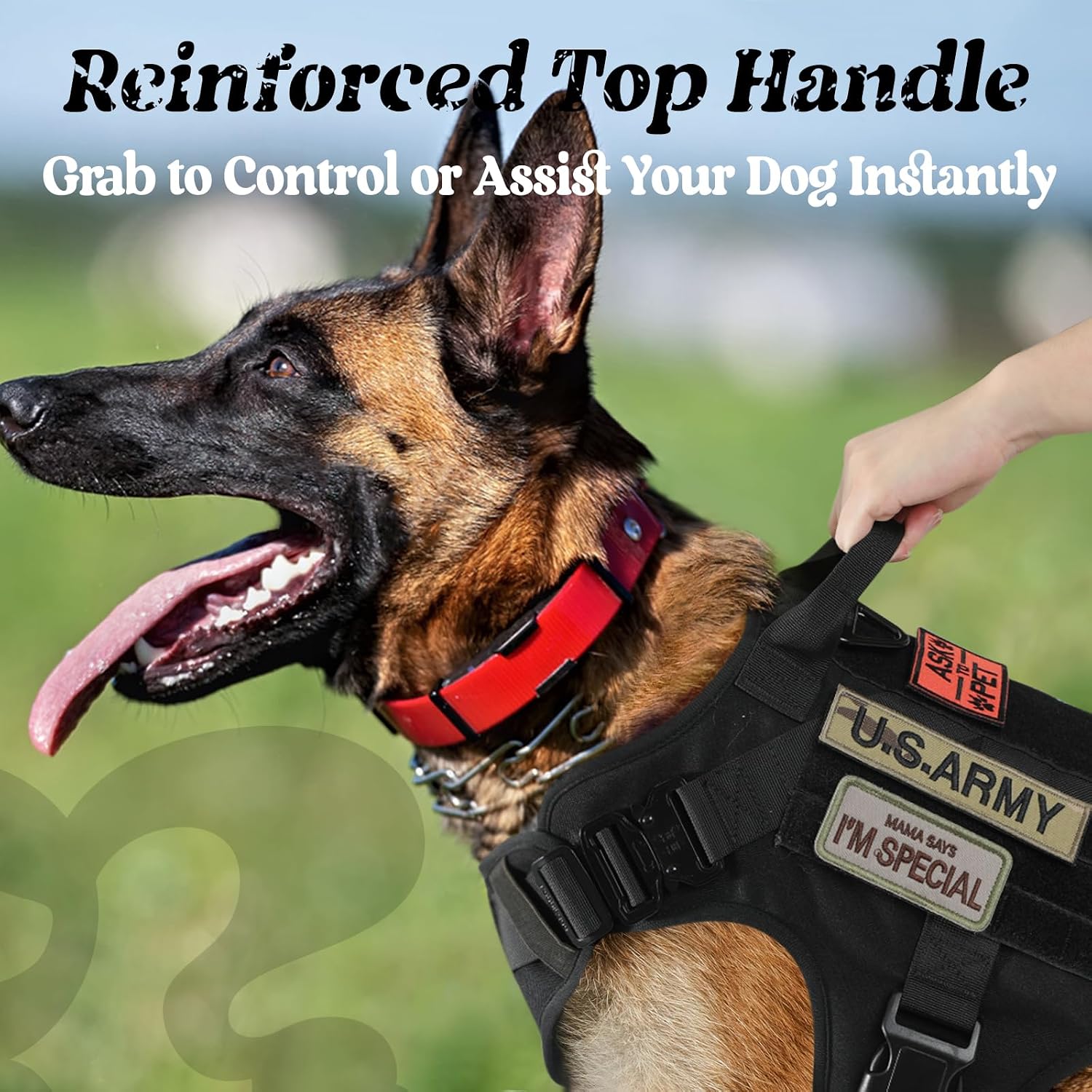 Detalle 2 de Rabbitgoo Tactical Dog Harness for Large Breeds (MOLLE Service Vest, Handle, No-Pull) — Black