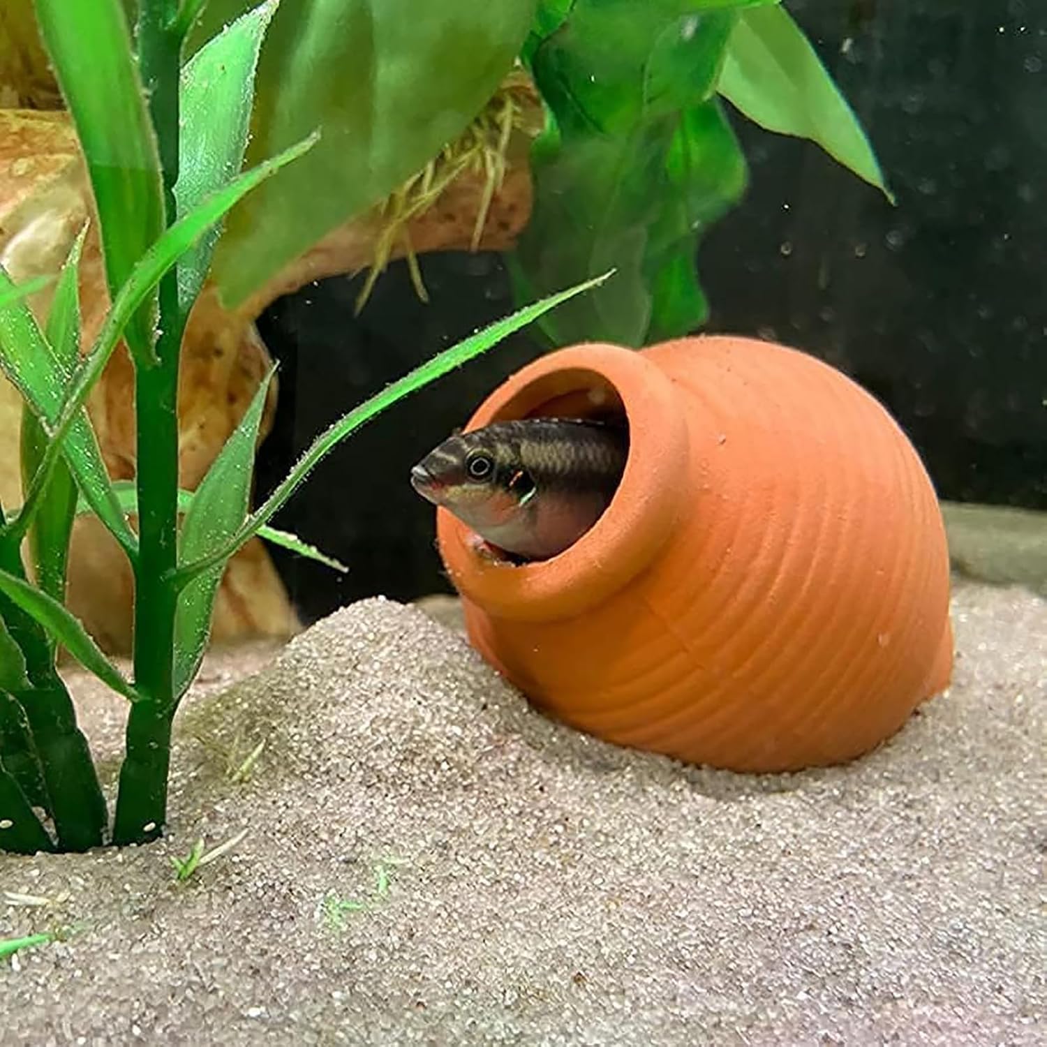 Detalle 2 de Uotyle Ceramic Betta Breeding Cave — Small Aquarium Hideout for Betta, Shrimp, and More