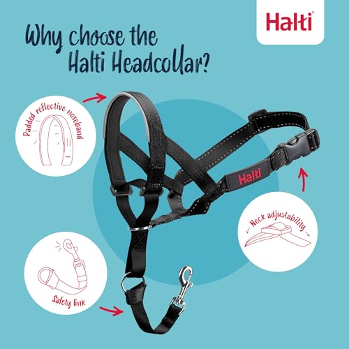 Detalle de Collar Ronzal HALTI Talla 2, antitirones para perros