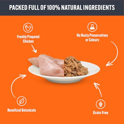Detalle de HiLife It's Only Natural Complete Wet Cat Food – The Big Chicken One in Jelly (32 x 70g)