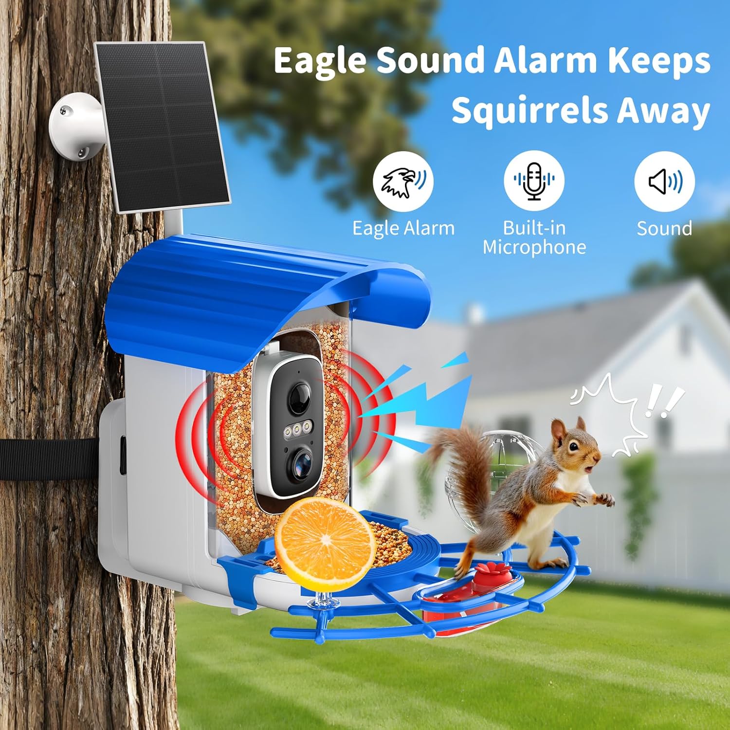 Detalle de NIORSUN Vogelfutterhaus mit Kamera 2K HD – Solarbetrieben, KI Vogelerkennung, Nachtsicht, 5200 mAh, IP65