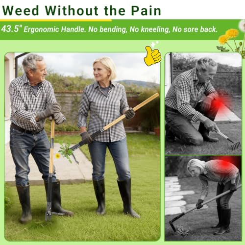 Thumbnail 8 de Bamda Weed Puller Root Remover Tool (110.5cm) – Durable Bamboo Handle, 4-Claw Steel Head