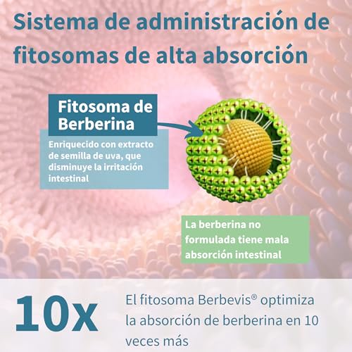 Thumbnail 3 de Igennus Berberina Fitosomada 550 mg
