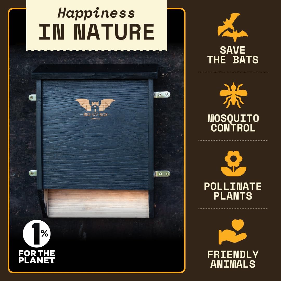 Detalle 2 de WildYard Bat House 75 pipistrelli 🦇