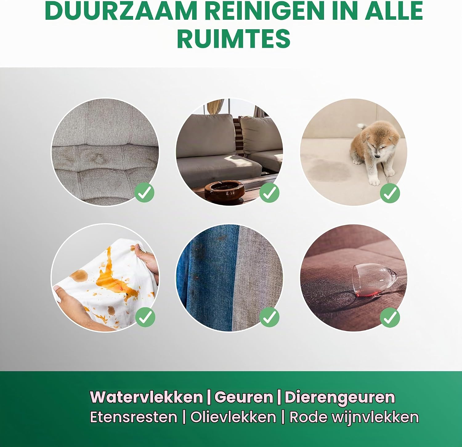 Detalle de BIOHY K12496 bekledingsreiniger, geconcentreerd voor auto en meubels