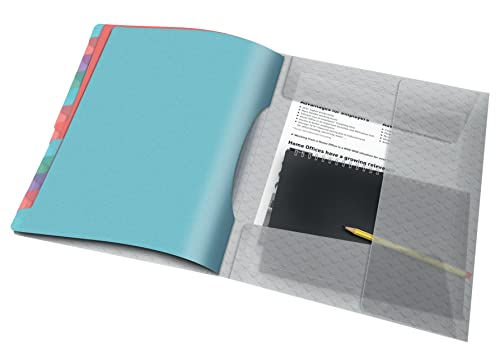 Detalle de Esselte Trieur A4 à 12 Compartiments Colour'Breeze Texturé – Multicolore