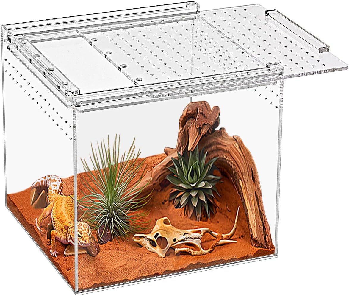 Detalle 2 de Reptile Terrarium Kit 12x7x6 inches: Magnetic Acrylic Enclosure for Small Pets