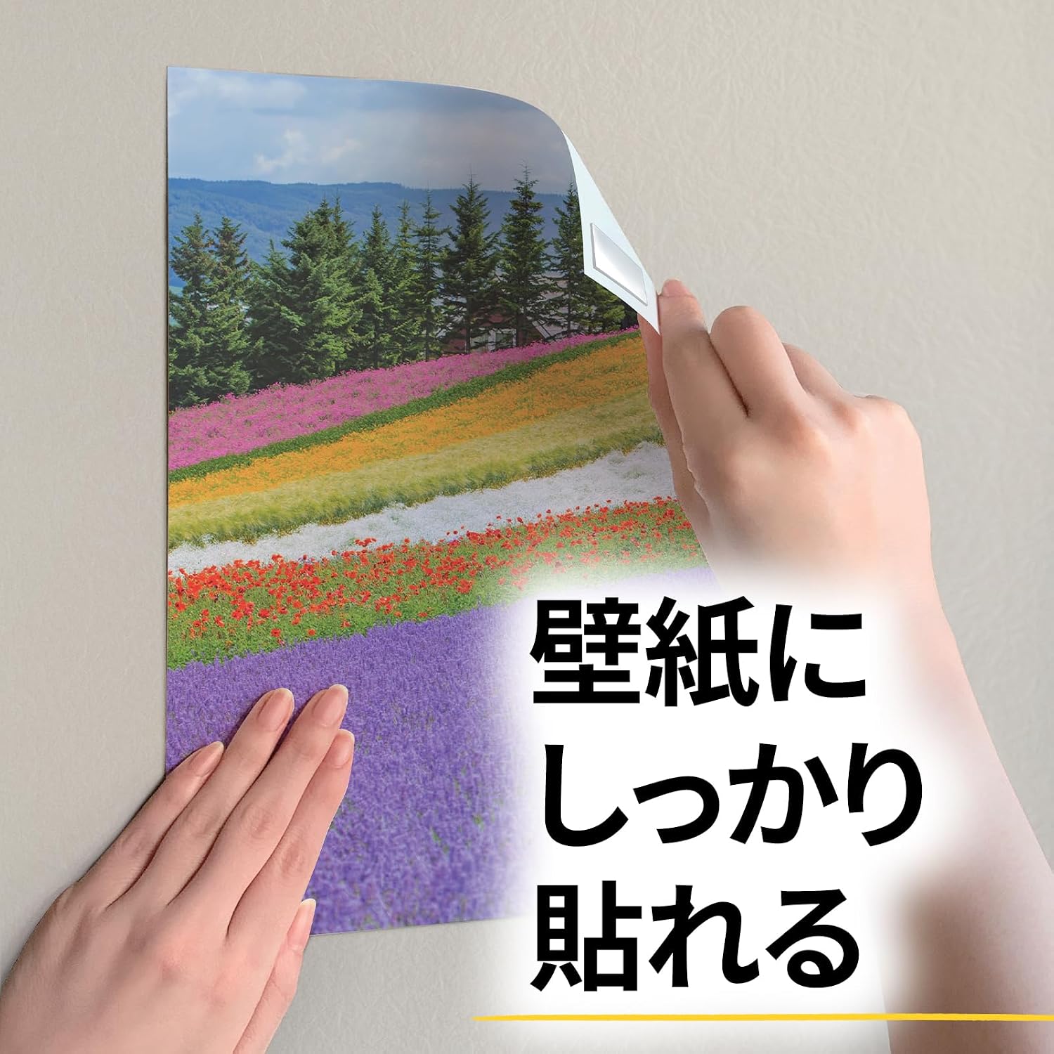 Detalle de 3M スコッチ SRW-19 はがせる壁紙用両面テープ 幅19mm・長さ4m