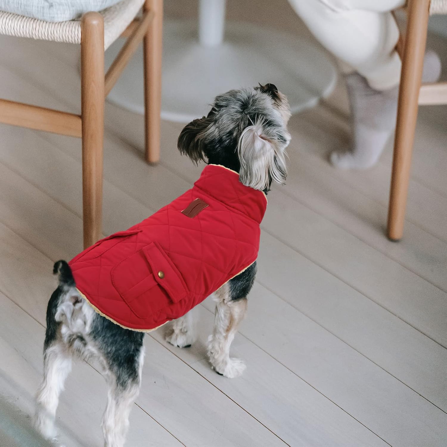 Thumbnail 3 de Queenmore Winter Dog Coat, Medium