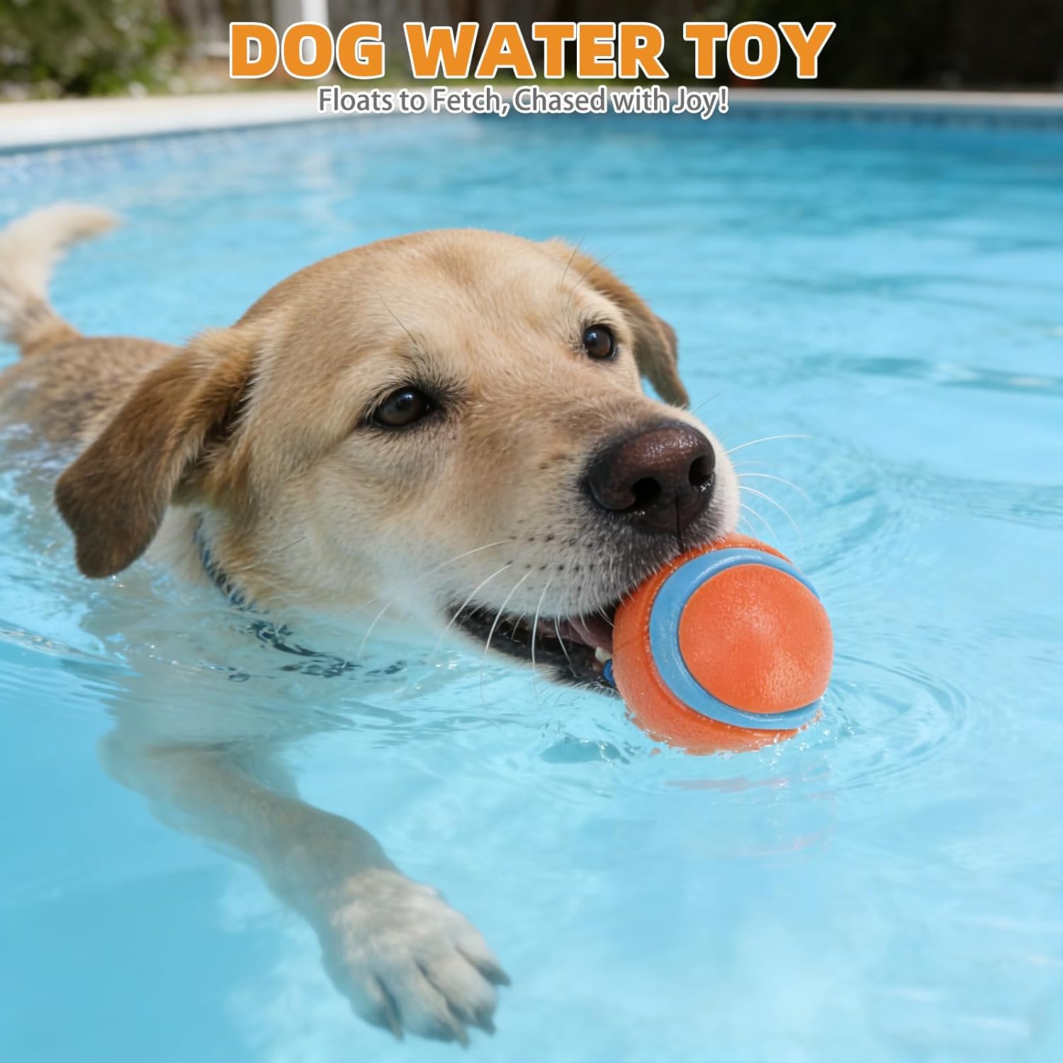 Detalle de KOOLTAIL Floating Dog Toys 3 Pack: TPR Water Pool Fetching Toys with Durable Rope