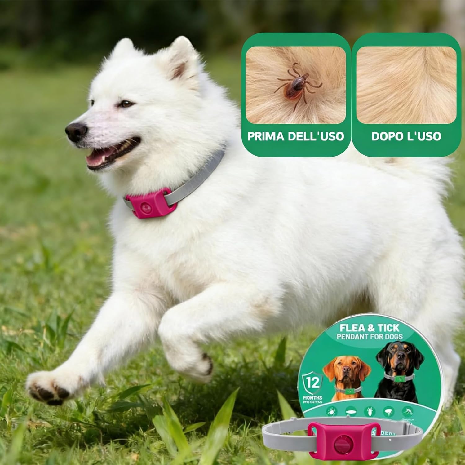Detalle de Aquality Pets Collare Antiparassitario Naturale: protezione duratura per cani e gatti
