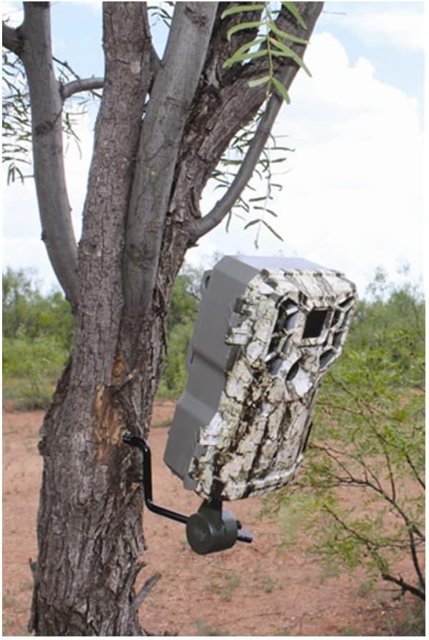 Detalle 2 de Trail Camera Holder, All-Steel