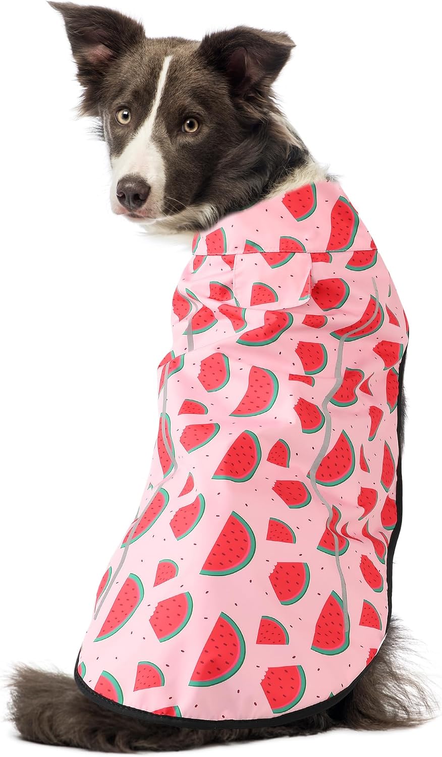Detalle 2 de Mile High Life dog raincoat (Pink Watermelon) with reflective strip and adjustable fit – Small