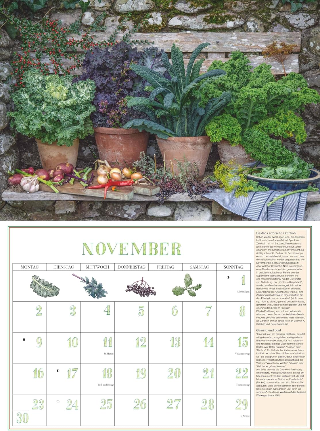 Thumbnail 6 de DUMONTS Aromatische Kräuter 2026 – Broschürenkalender 42 x 29 cm mit Rezepten, Texten & Farbfotografie für Kräuter- und Kochliebhaber