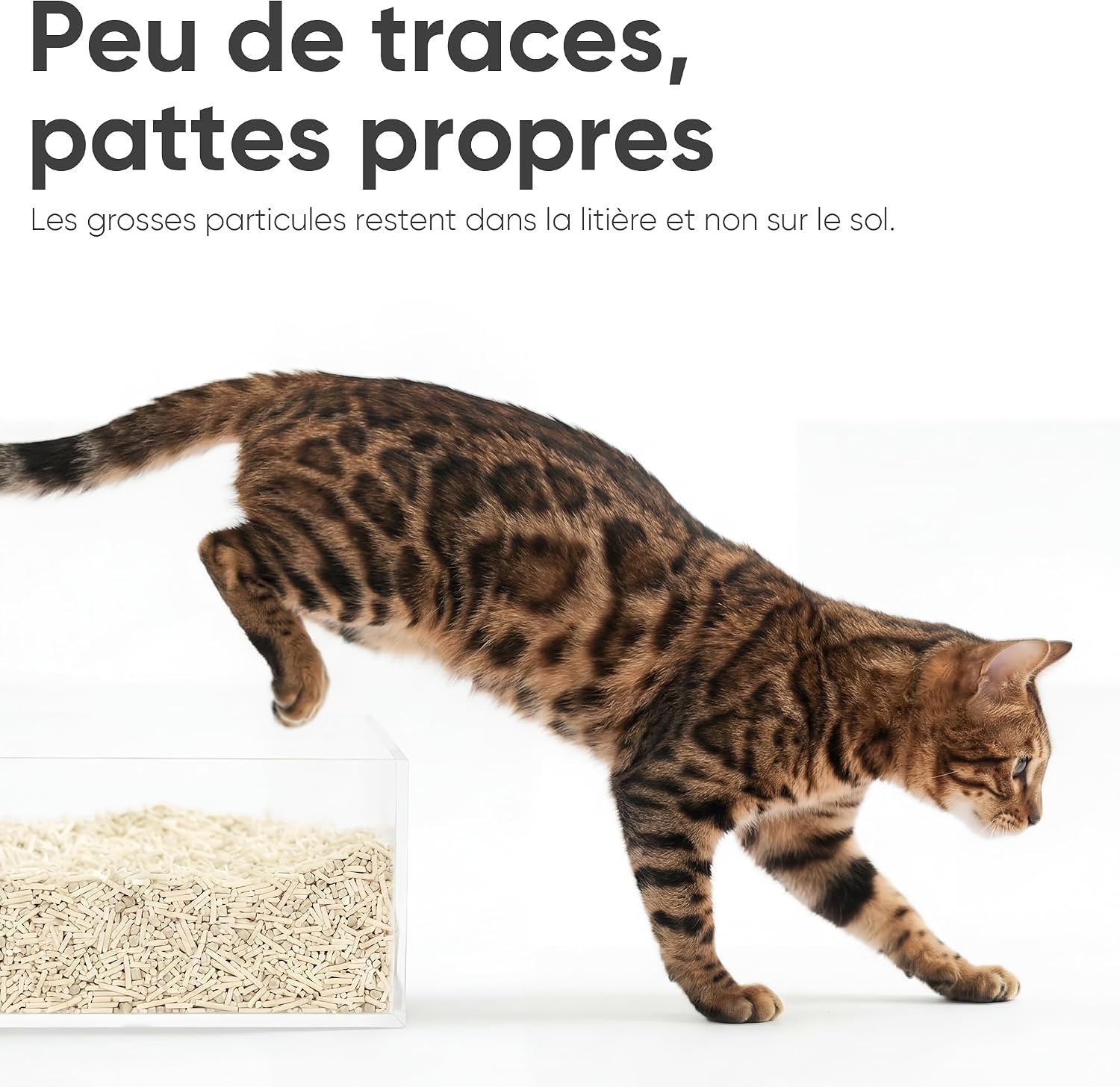 Detalle de FUKUMARU Litière pour chat en tofu naturelle non parfumée (24L) : agglomérante rapide, sans poussière