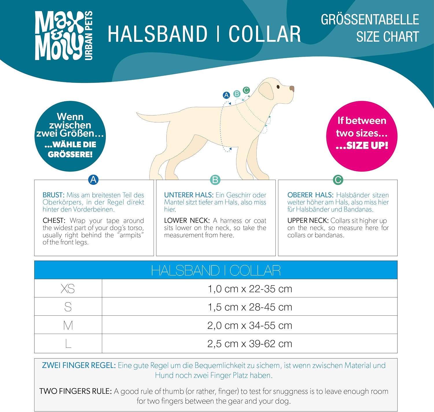 Detalle 2 de Max & Molly Dog Collar, Size S