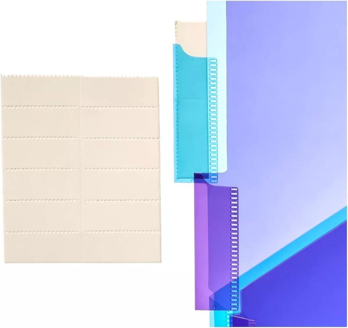Detalle de Amazon Basics – Lot de 3 intercalaires en plastique à 2 poches et 5 onglets, taille lettre, multicolore