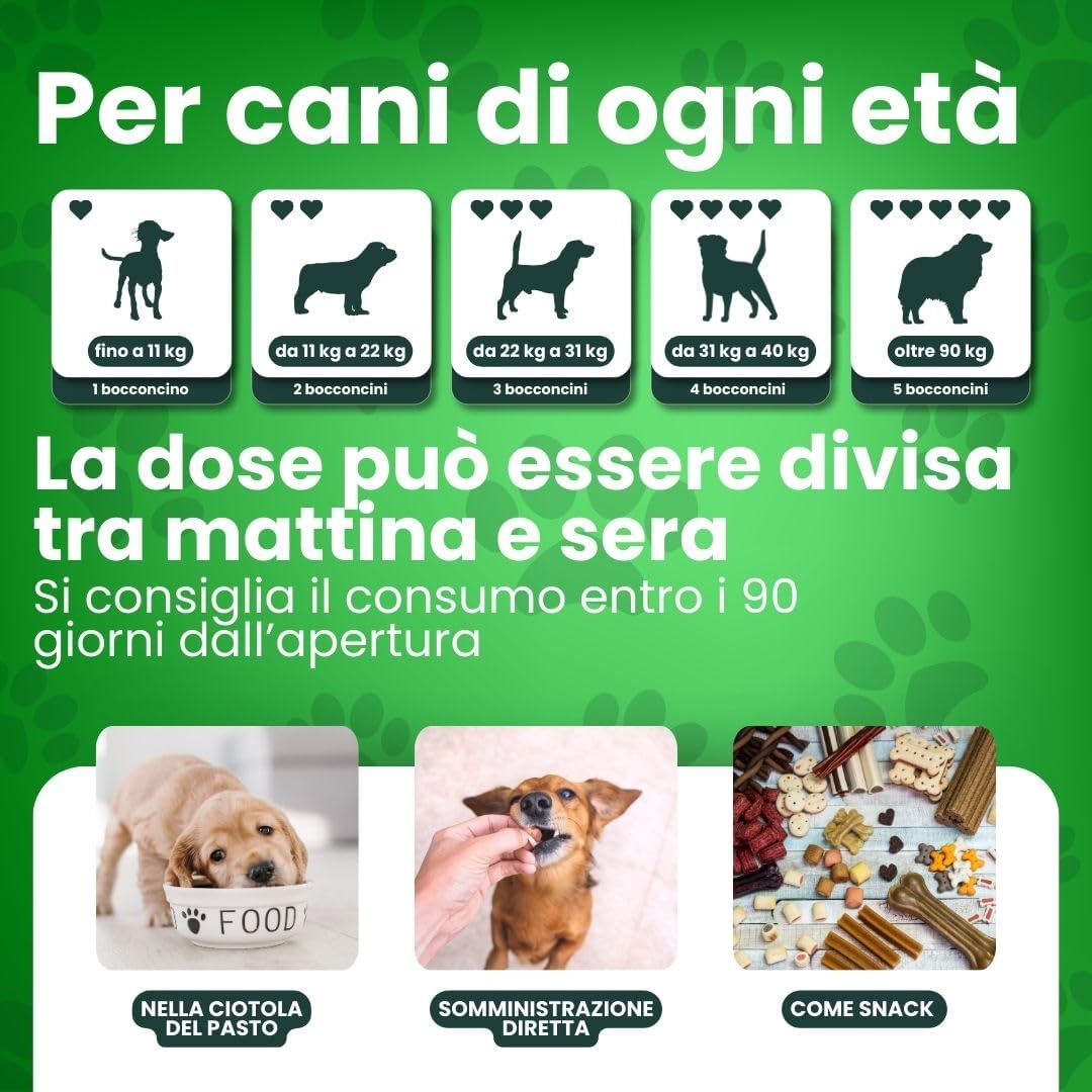 Detalle 2 de DB Labo Probiotici per Cani 100 Snack: 4-in-1 per Digestione, Immunità e pelle