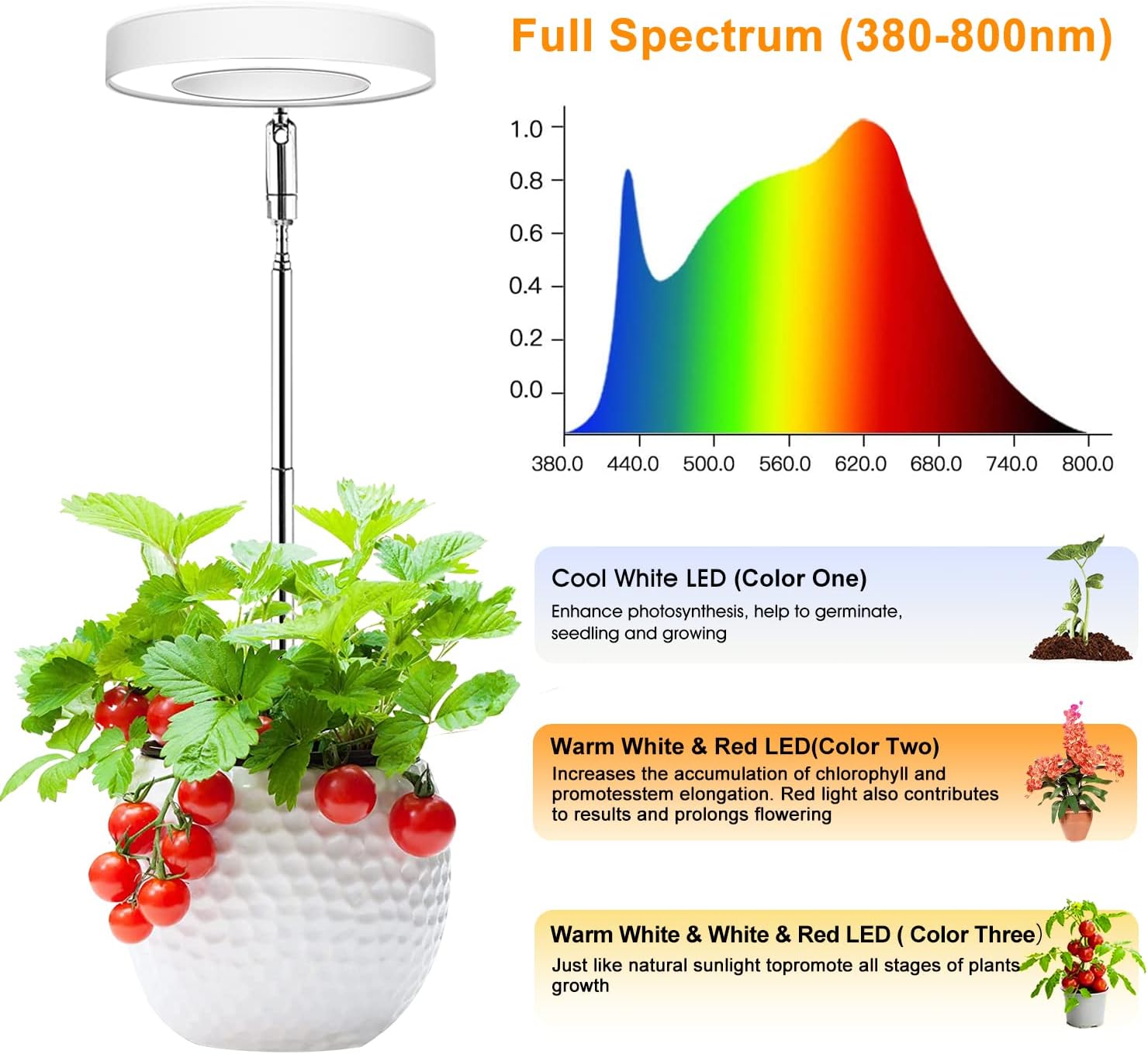 Detalle de Wiaxulay BL-B10A 3.5-Inch Halo Grow Light, 3-Pack with Timer and 3 Light Modes
