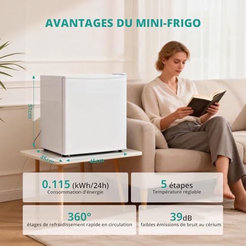 Thumbnail 6 de SMETA Petit Frigo 46L, Mini Frigo Silencieux 220V avec Porte Réversible et Thermostat Réglable