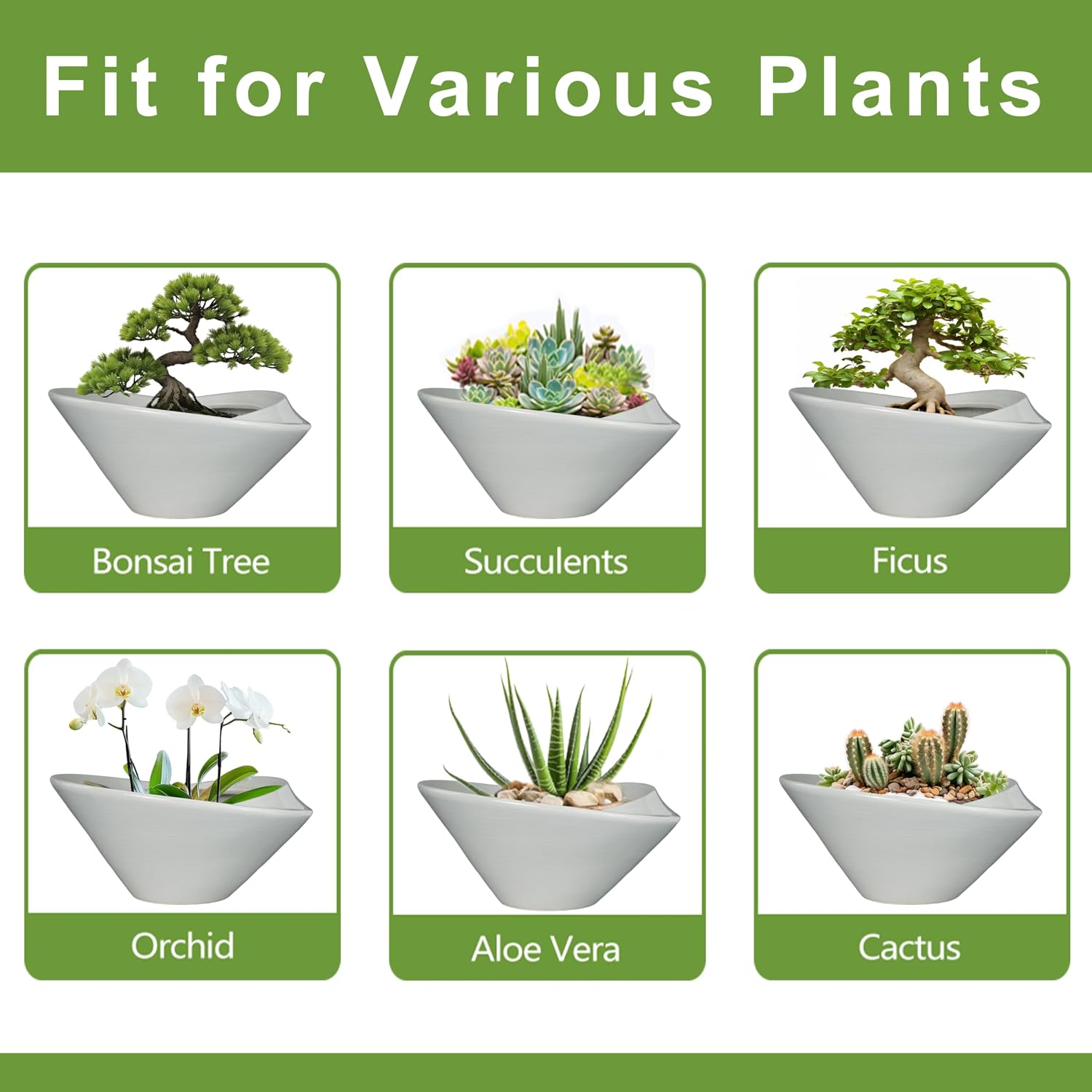 Thumbnail 6 de Teagas Bonsai Pots 13 Inch Ceramic Planter
