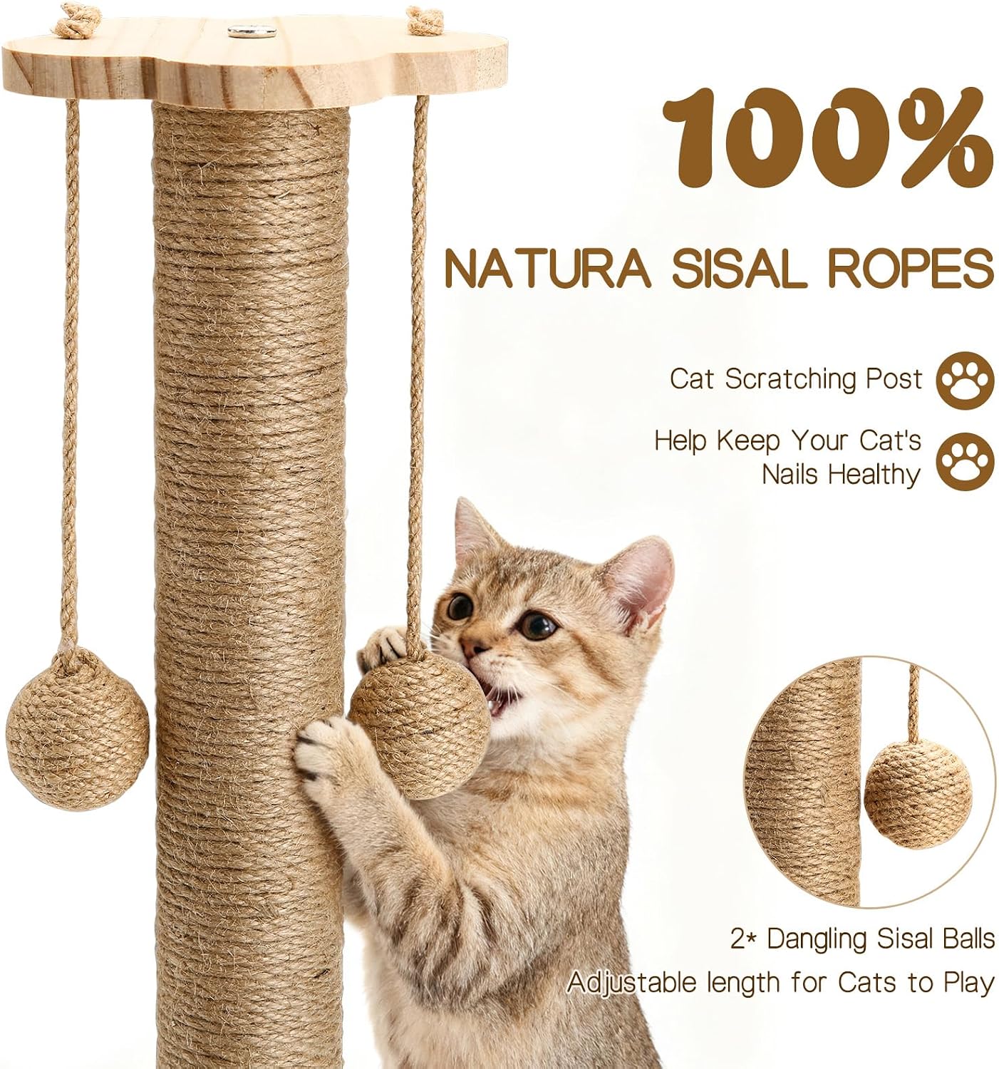 Thumbnail 5 de Treeboy Cat Scratching Post 50cm