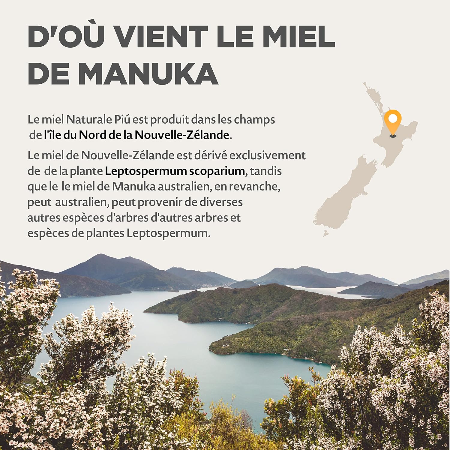 Detalle 2 de NaturalePiù Miel de Manuka 100+ MGO, 500 g bio brut de Nouvelle-Zélande