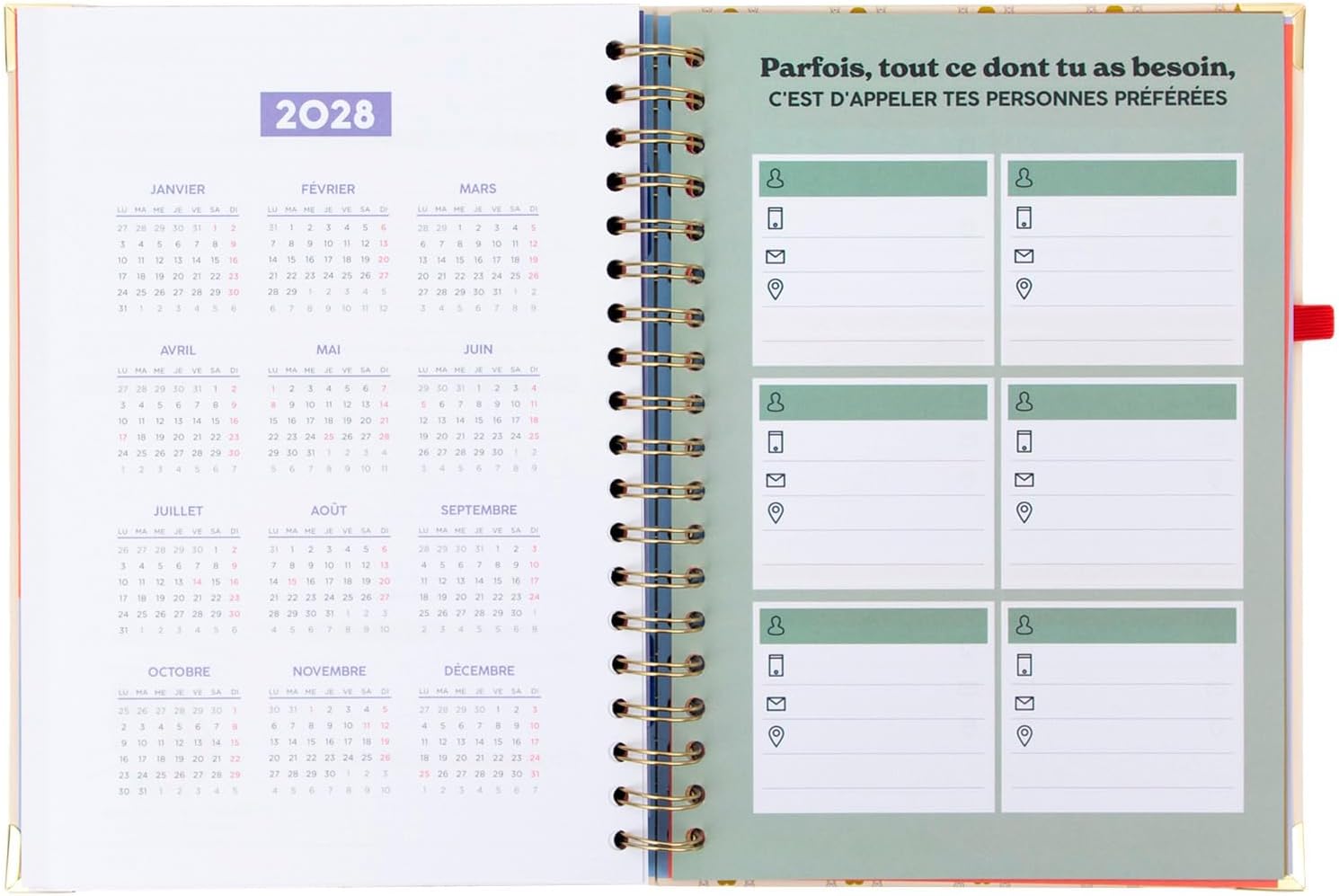 Thumbnail 6 de Agenda Mr. Wonderful 2026-27 Hebdomadaire Grand format — Fais que chaque jour compte