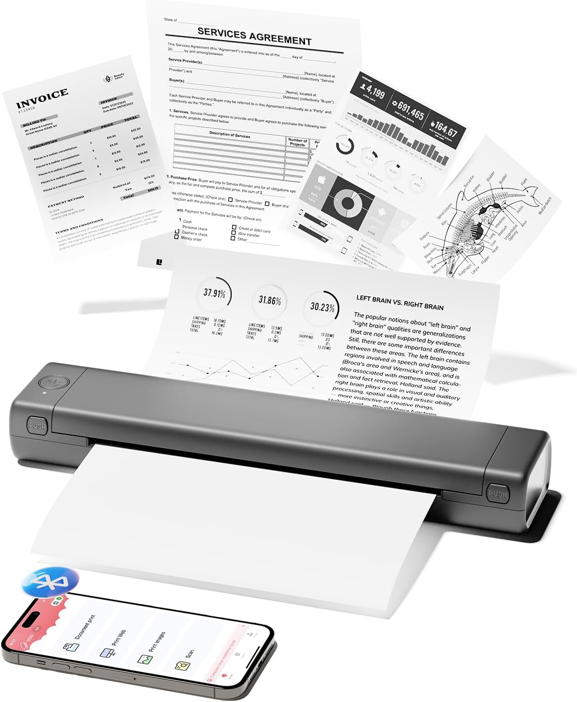 Detalle de Phomemo M08F Bluetooth Thermal Printer (Inkless) – portable wireless printer for phones and laptops