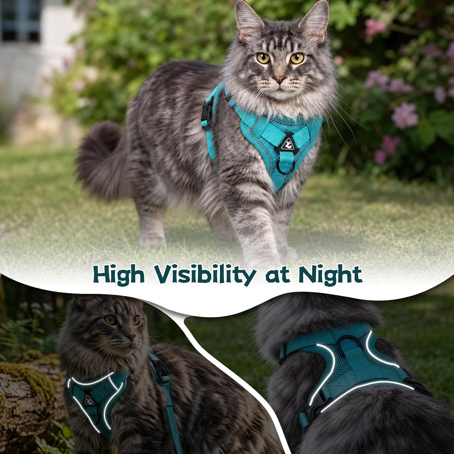 Detalle 1 de Cat and Small Dog Harness and Leash Set, XL