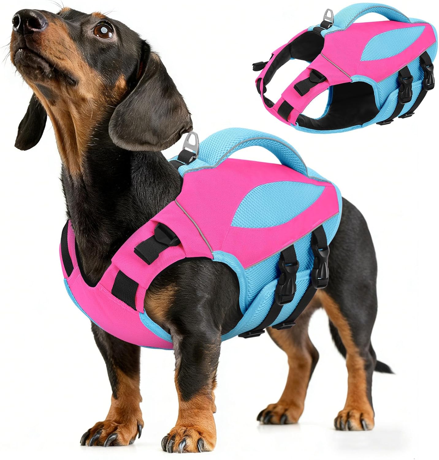 Detalle de AOFITEE Schwimmweste Hund Klein – Verstellbar, Reflektierend, Hoher Auftrieb