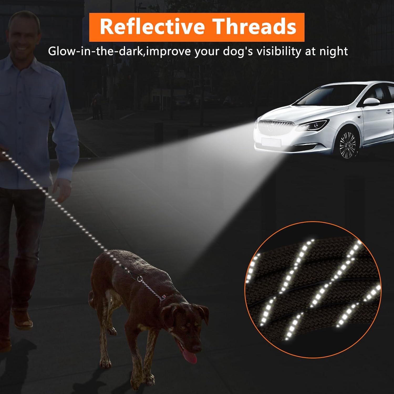 Detalle 2 de Kdsvakd Training Lead for Dogs 10M ๐