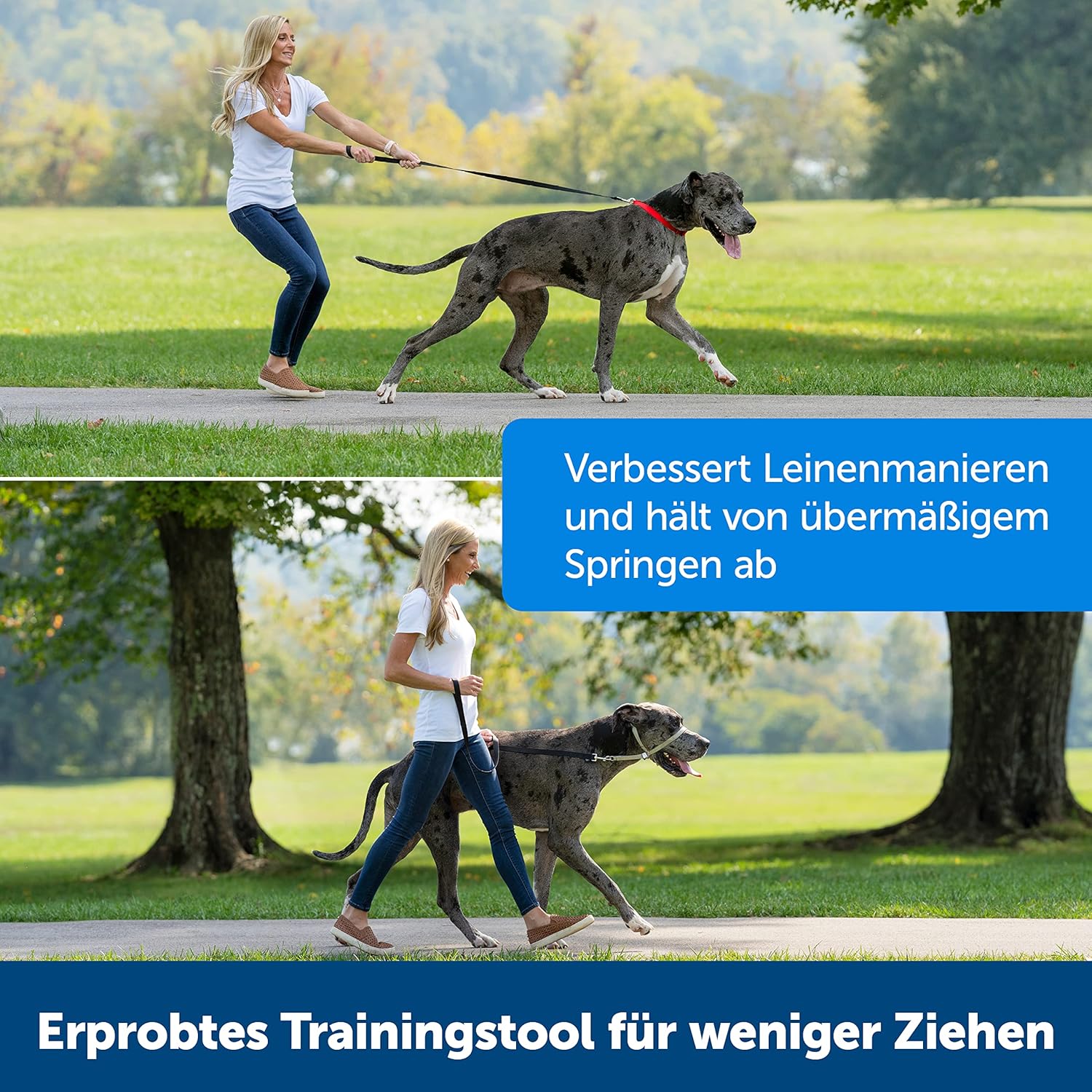 Thumbnail 2 de PetSafe Easy Walk Kopfhalfter Größe S