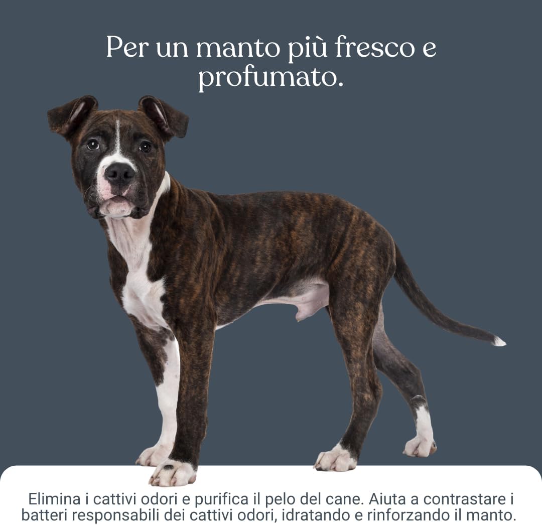 Detalle de Bau Shampoo Cane Controllo Odori con Bardana, Aloe Vera e Pantenolo — Deodorante per Cani