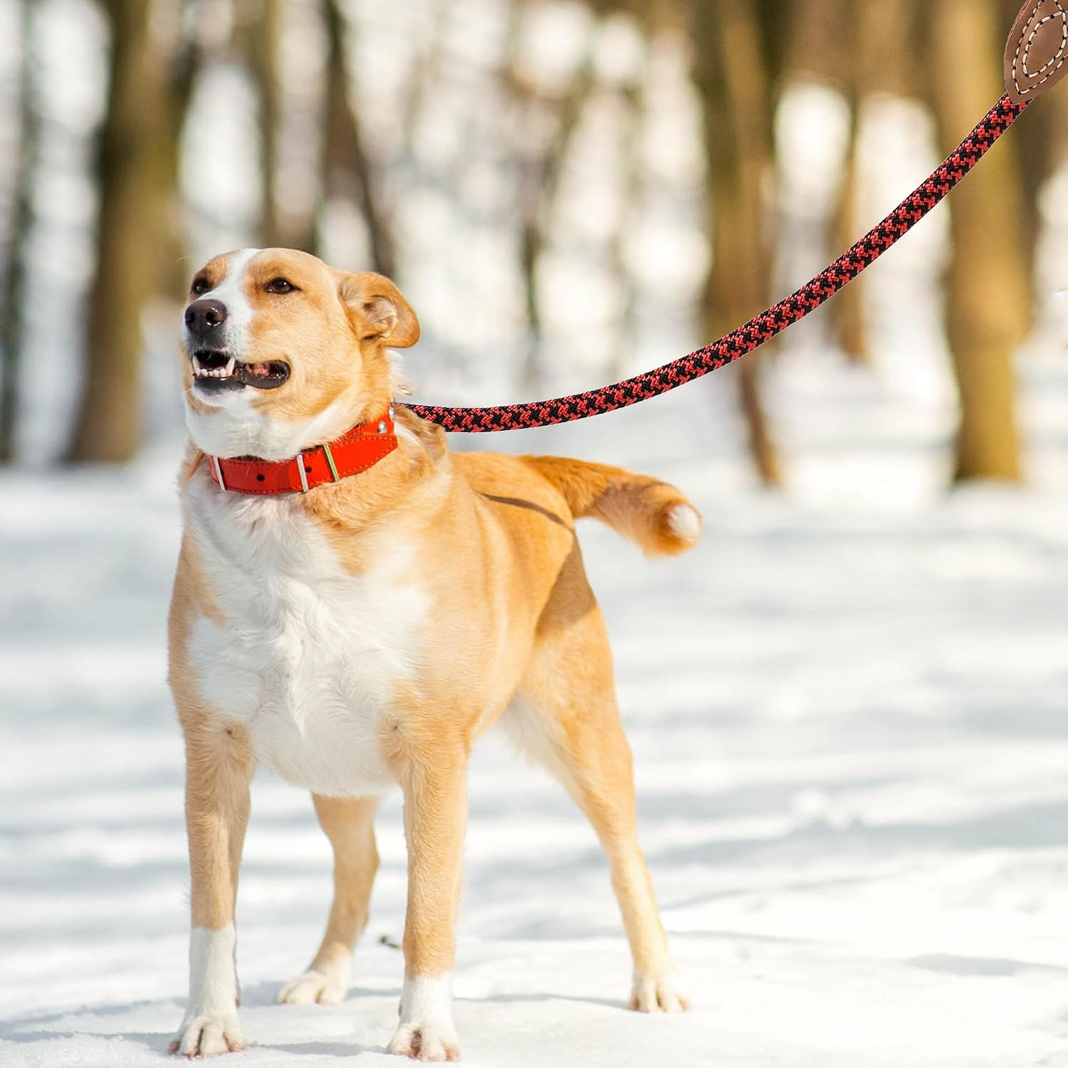 Detalle de Mile High Life Rope Leash with Genuine Leather Connection — 4 ft / 5 ft / 6 ft, Heavy‑Duty Lead for Medium & Large Dogs