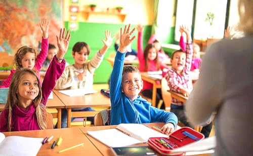 Detalle de TOUT LE PRIMAIRE 2026 sur clé USB – Novosoft international