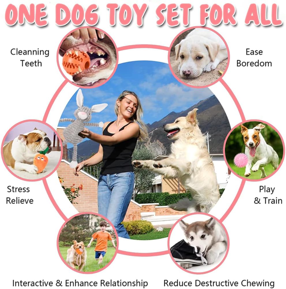 Detalle 2 de Hundespielzeug 10er Set Quietschend