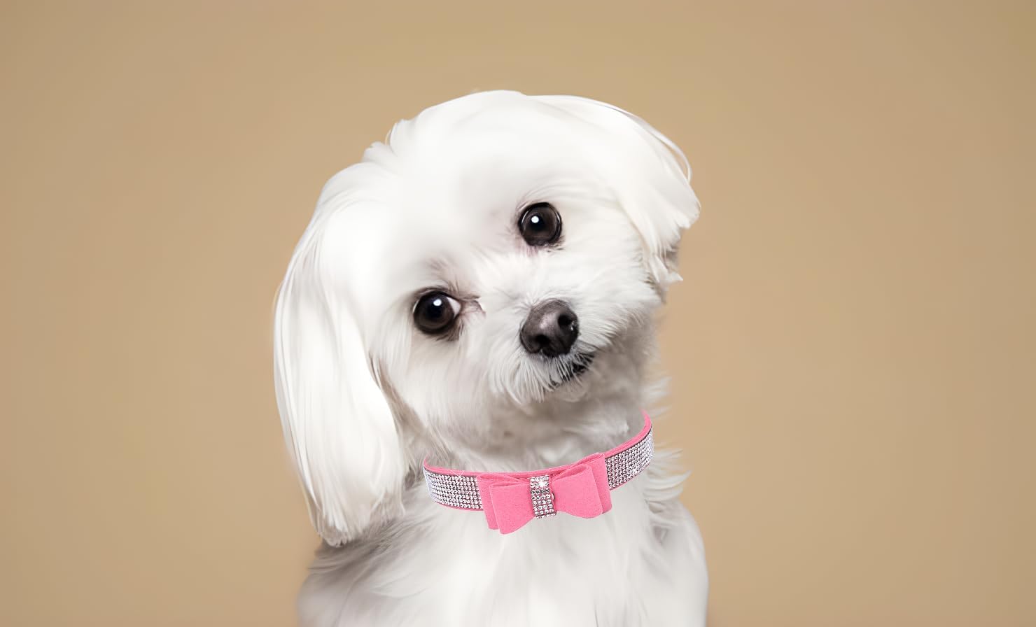 Detalle de Bowtie Diamante Dog Collar – Pink Adjustable Velvet Velvet Diamond Collar for Small to Large Dogs
