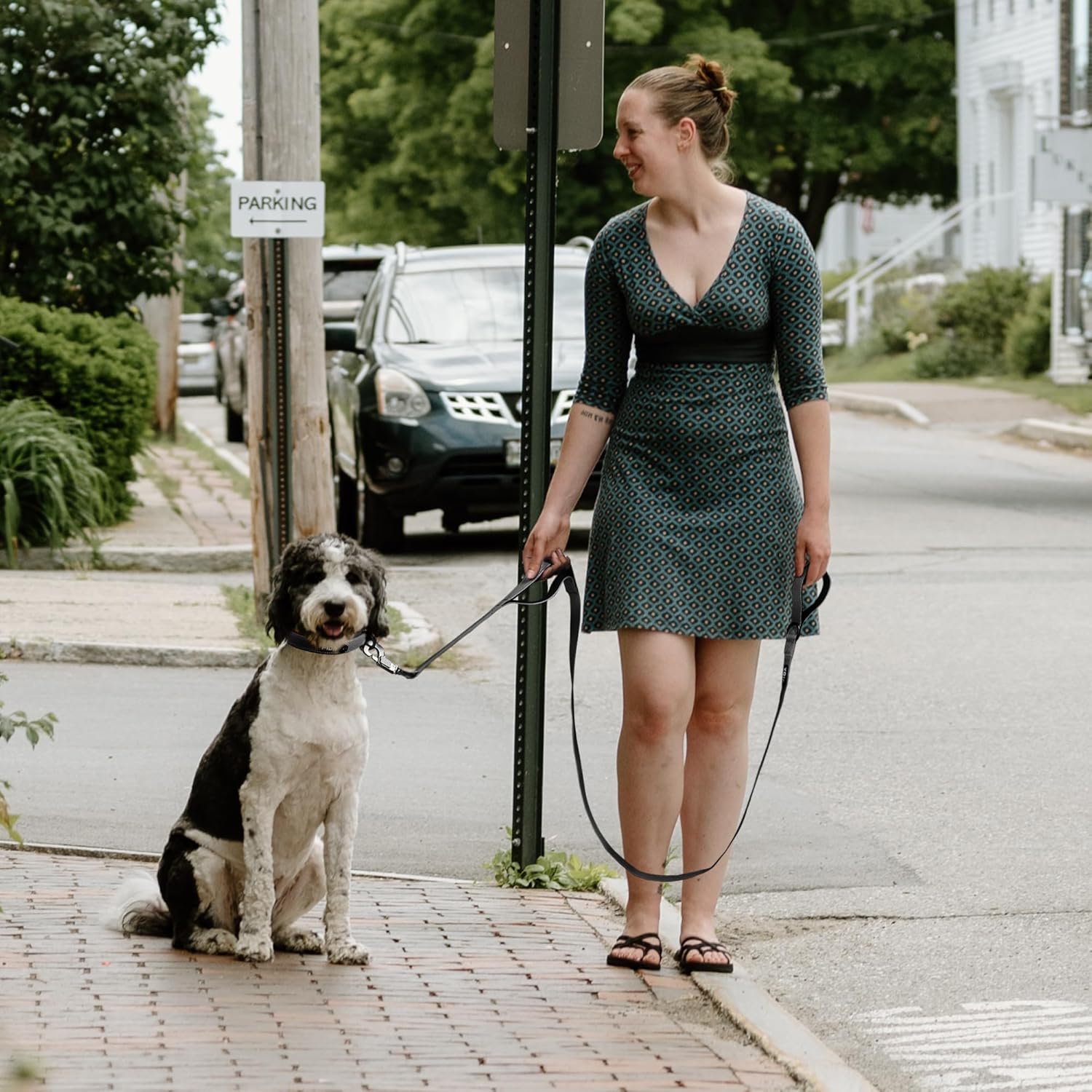 Thumbnail 5 de Fida Heavy Duty Dog Lead, 1.8m