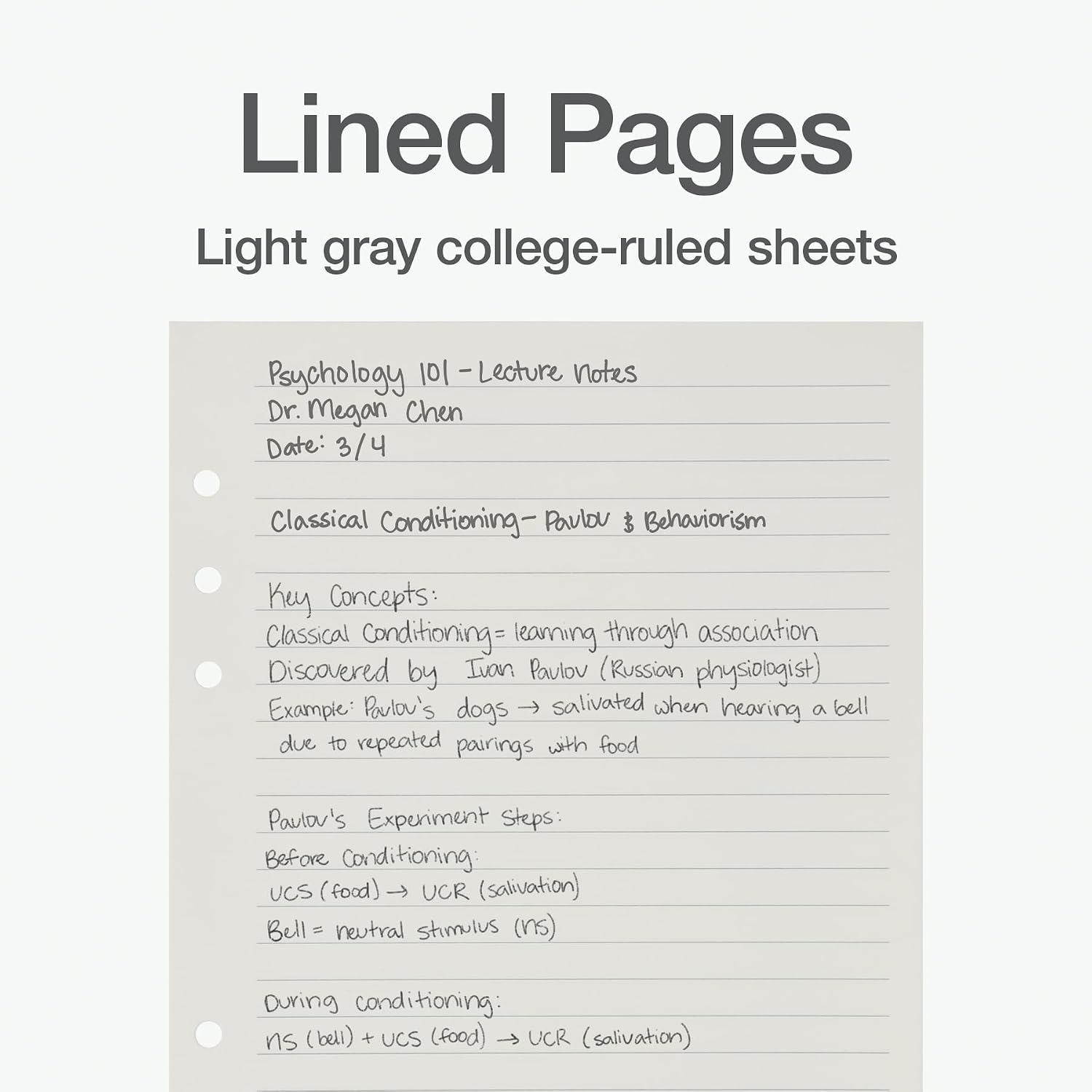 Thumbnail 4 de Oxford A5 Refill Paper (1016731), 6-Ring Lined Inserts, 5 Pastel Tabs, 120 Sheets