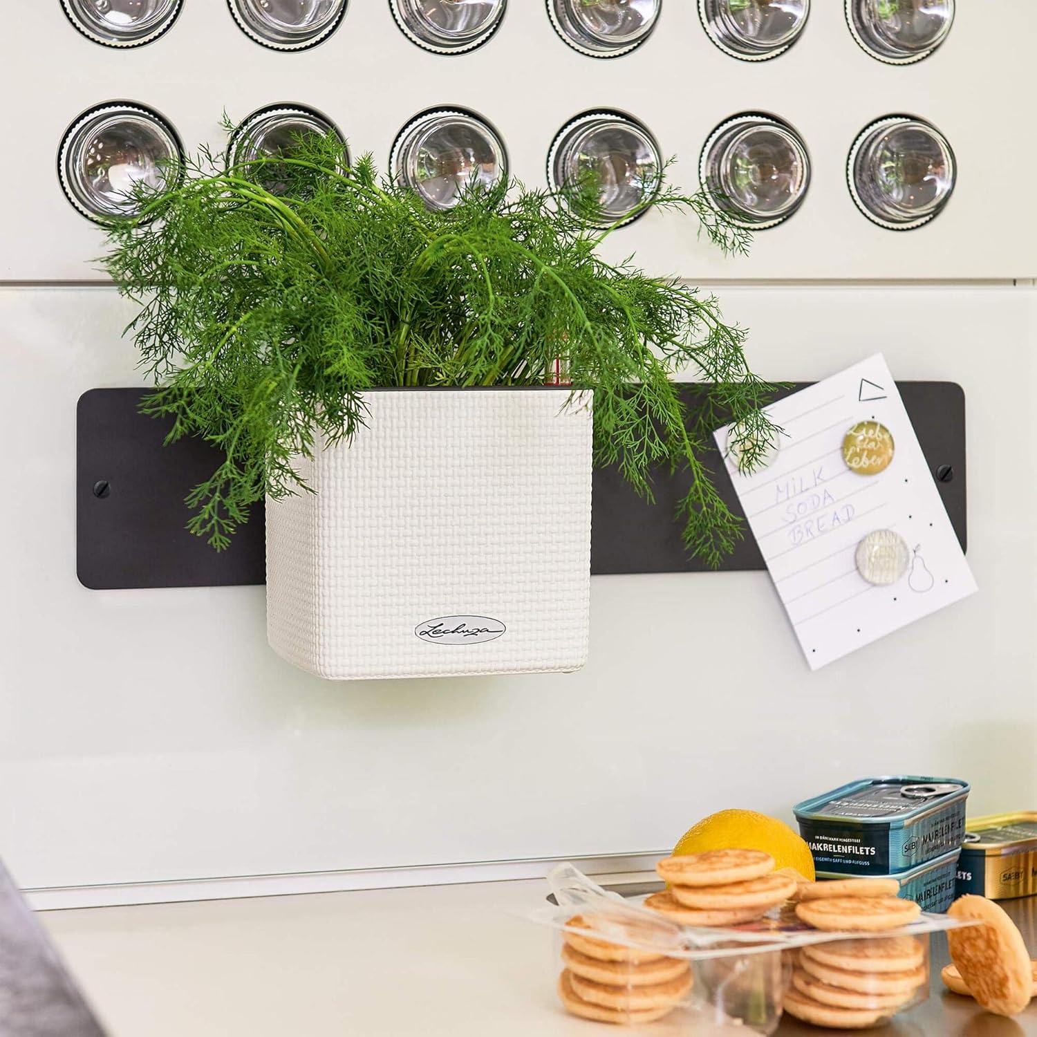 Detalle de Lechuza Pot de Fleurs d'Intérieur Green Wall Home Kit Color – Gris Ardoise (48 x 6 x 14 cm)