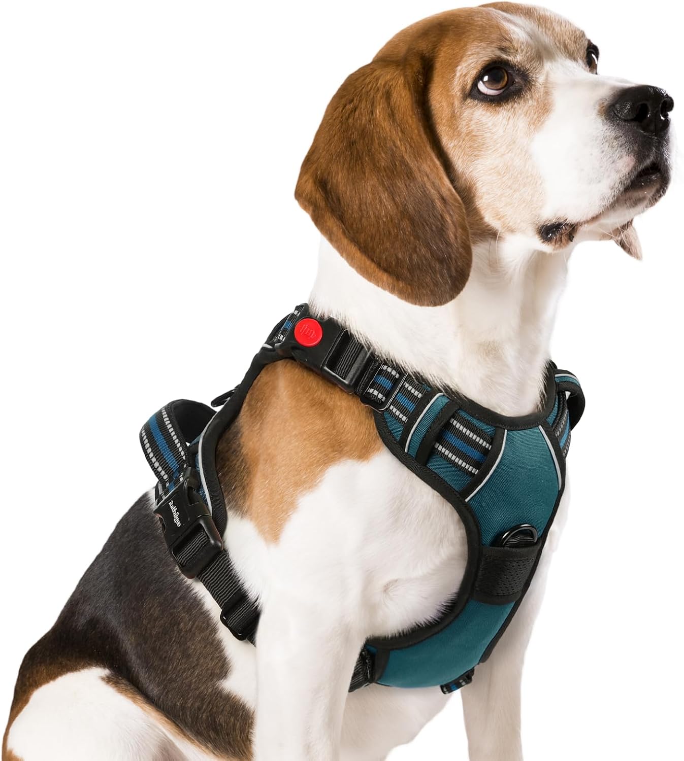 Detalle de rabbitgoo Large Dog No-Pull Harness (Dark Green) with 2 Leash Clips, Adjustable Soft Padded Vest, Reflective Handle (M)