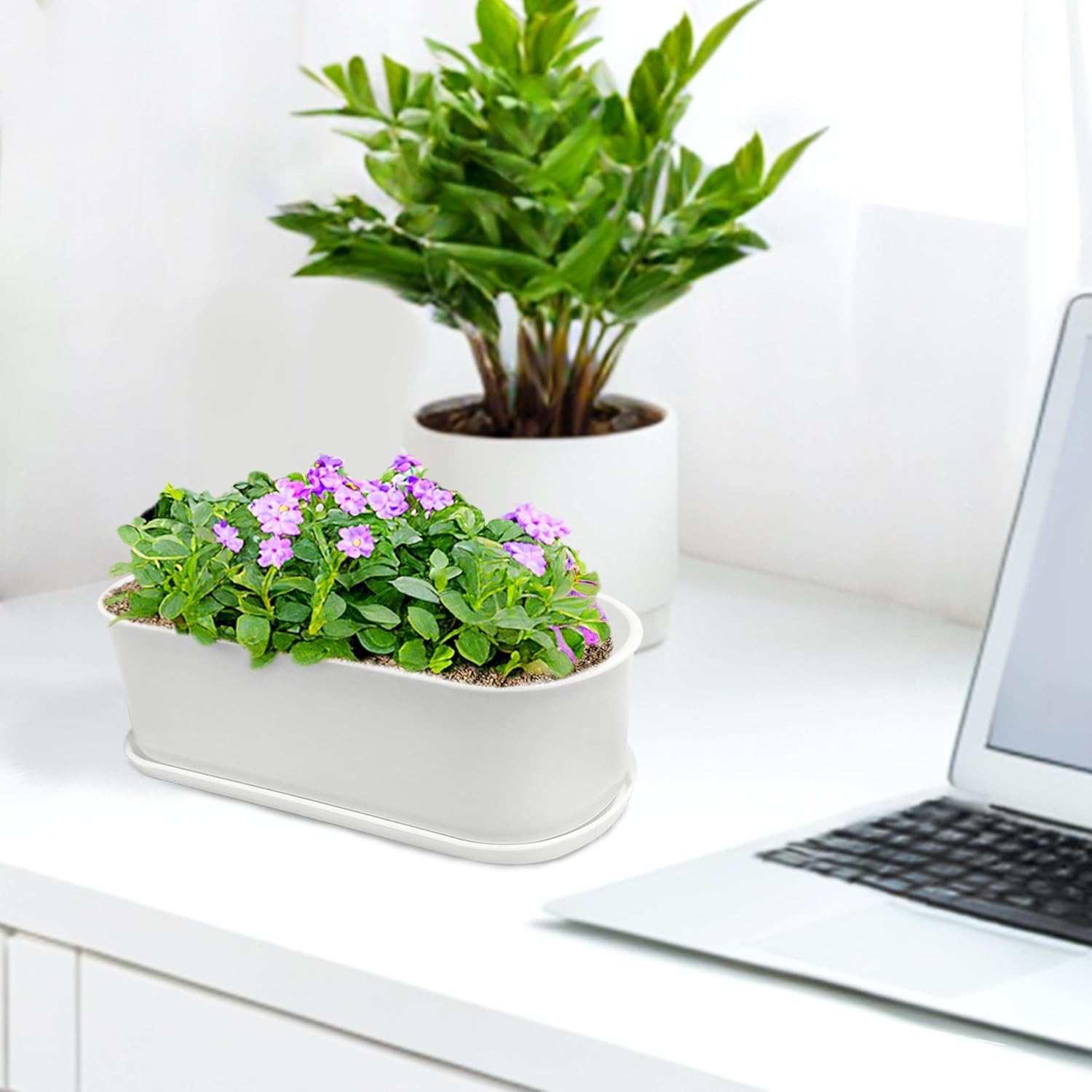 Detalle 2 de Torfican 8.5-Inch Window Box Planters, 5-Pack White Plastic Pots