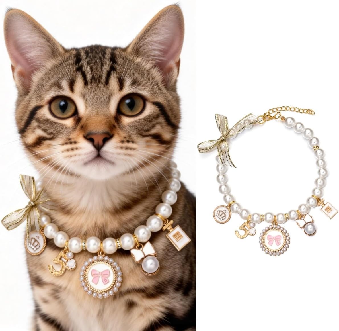 Detalle de Accesyes Pet Collar, 10–12-Inch Length