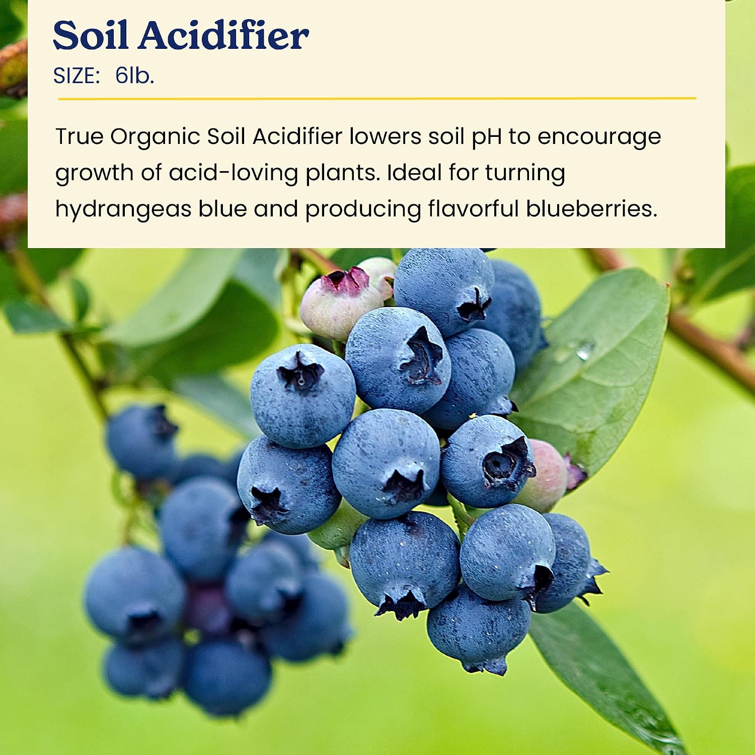 Detalle 1 de True Organic Soil Acidifier, 6 lb Granules for Hydrangeas and Acid-Loving Plants