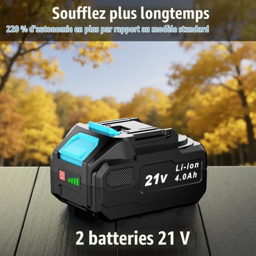 Detalle de LEEIKOO Souffleur de feuilles sans fil 21 V, 3 vitesses, 2 batteries 4,0 Ah