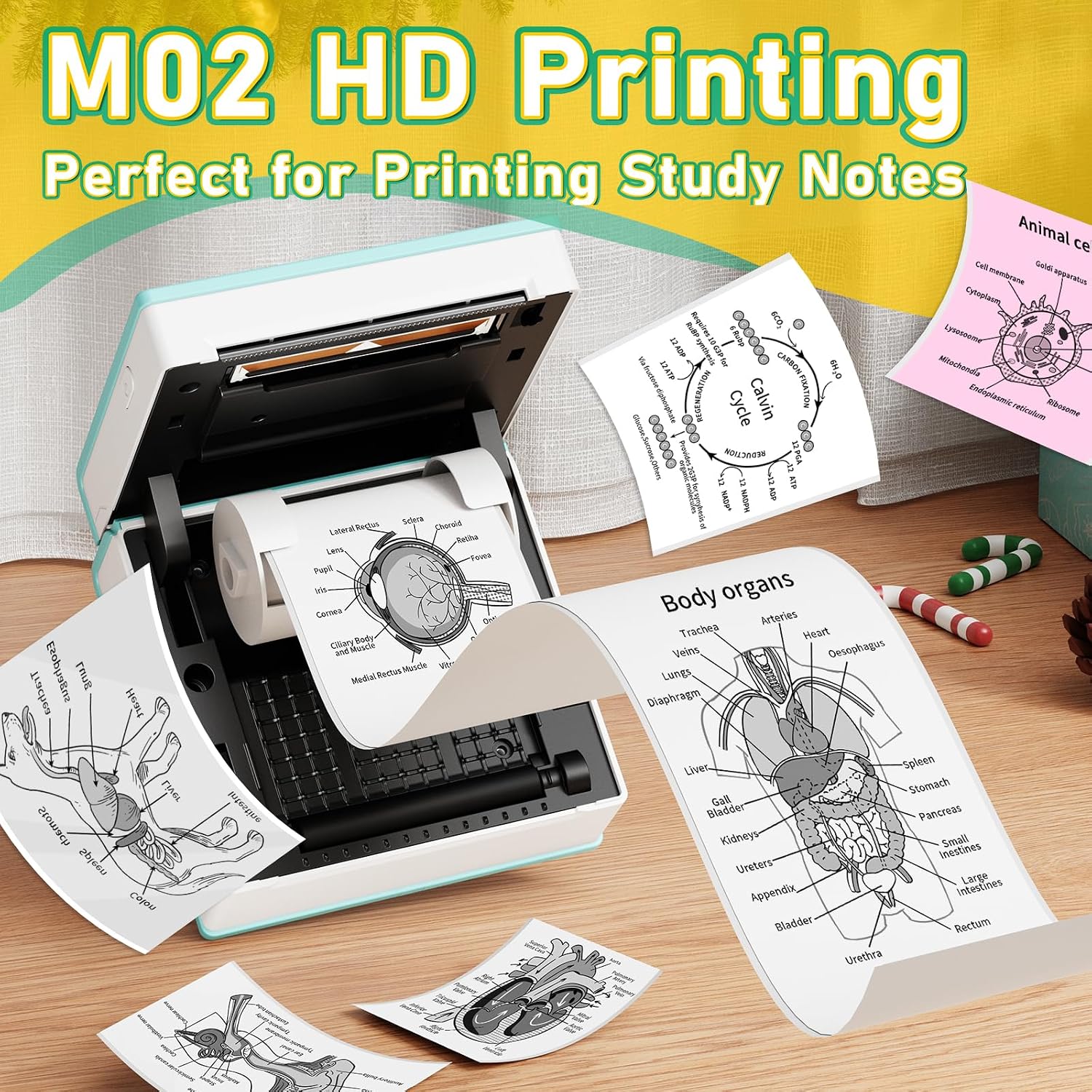 Detalle de Phomemo Mini Sticker Printer M02