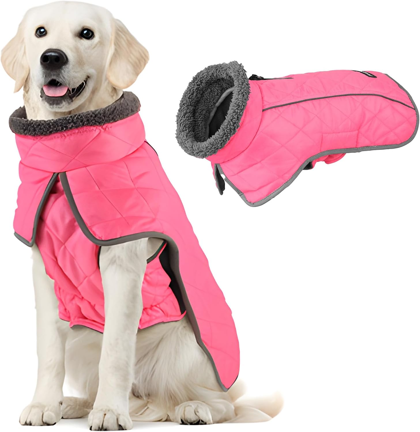 Detalle de Fragralley Dog Coat, 3XL